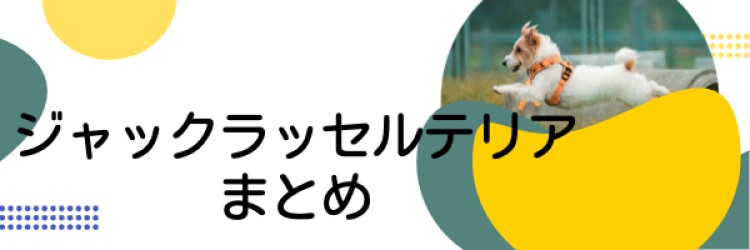 ジャックラッセルテリアって短足でかわいい！